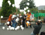 The Walsall Gazzette